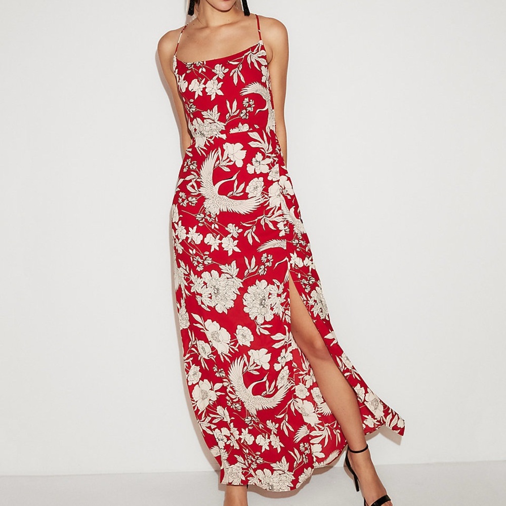 EXPRESS Floral Print Lace Up Back Maxi Dress